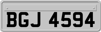 BGJ4594