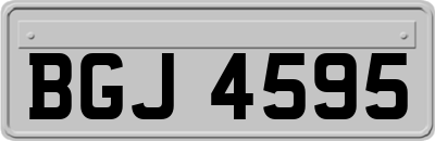 BGJ4595