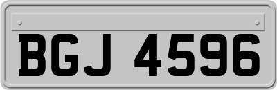 BGJ4596