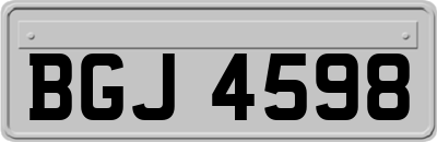 BGJ4598
