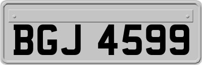 BGJ4599