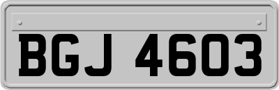 BGJ4603