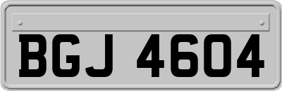 BGJ4604