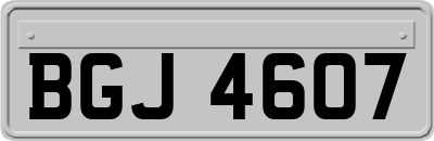 BGJ4607