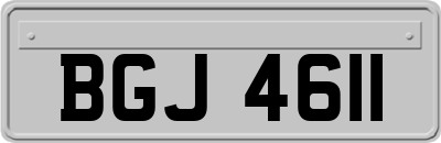 BGJ4611