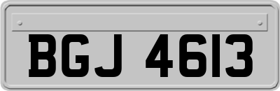 BGJ4613