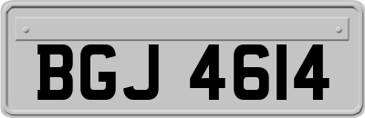BGJ4614
