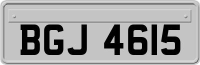 BGJ4615