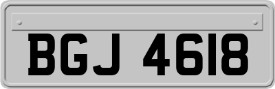 BGJ4618