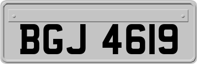 BGJ4619