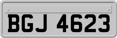 BGJ4623
