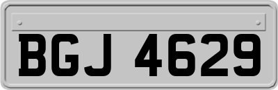 BGJ4629