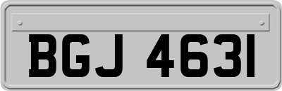 BGJ4631
