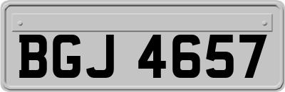 BGJ4657