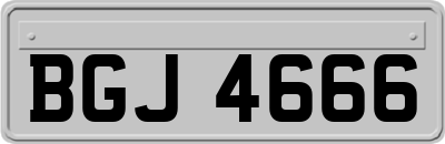 BGJ4666