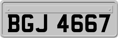 BGJ4667