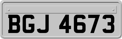 BGJ4673