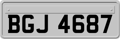 BGJ4687