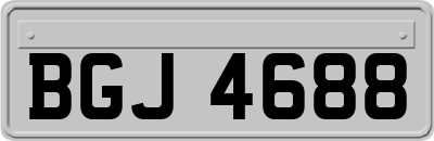 BGJ4688
