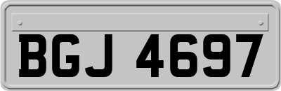 BGJ4697