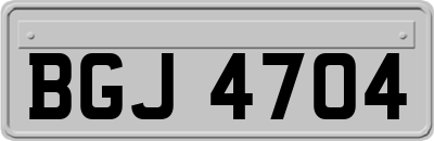 BGJ4704