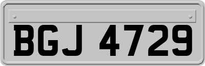 BGJ4729