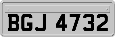 BGJ4732