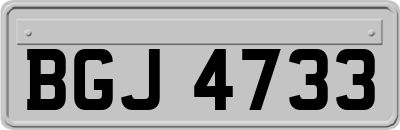 BGJ4733