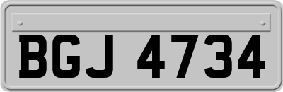 BGJ4734