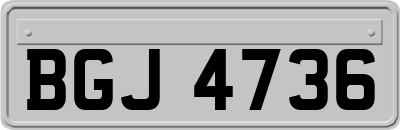 BGJ4736