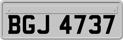 BGJ4737