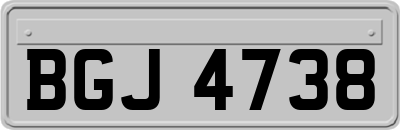 BGJ4738