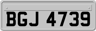 BGJ4739