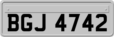 BGJ4742