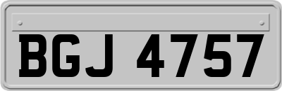 BGJ4757