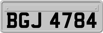 BGJ4784