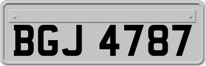 BGJ4787