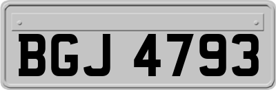 BGJ4793