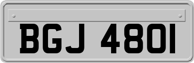 BGJ4801