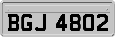 BGJ4802