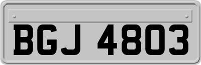 BGJ4803