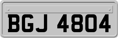 BGJ4804