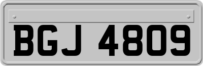 BGJ4809