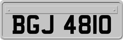 BGJ4810