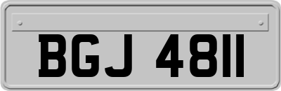 BGJ4811