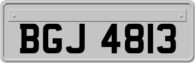 BGJ4813