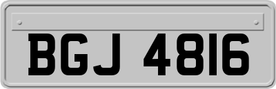 BGJ4816