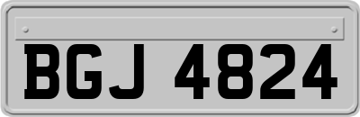 BGJ4824