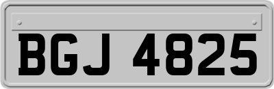 BGJ4825