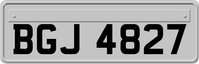 BGJ4827
